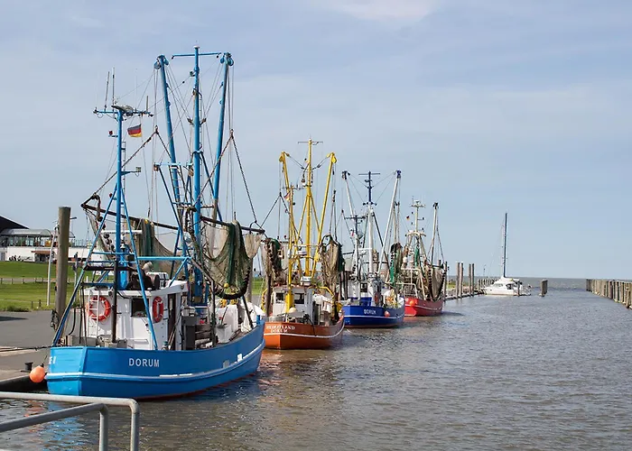 بيت للعطل Nordertill 11 *